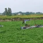আট্টিগ্রামে কৃষিজমি থেকে অবৈধ বালু উত্তোলনের অভিযোগ