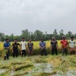 চিলমারীতে অসহায় কৃষকের ধান কেটে দিল মানবিক ছাত্রদলের নেতাকর্মীরা