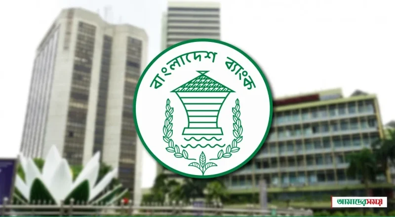 চামড়া শিল্পে অর্থের জোগান বাড়াতে বাংলাদেশ ব্যাংকের বড় ছাড়!