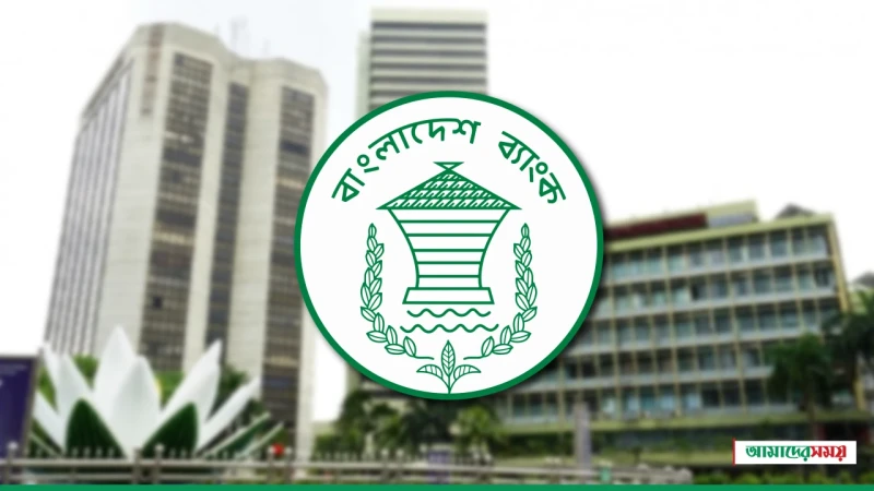 চামড়া শিল্পে অর্থের জোগান বাড়াতে বাংলাদেশ ব্যাংকের বড় ছাড়!