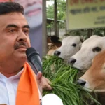 পশ্চিমবঙ্গে গরু বেচাকেনা বিতর্কে বিপাকে বিজেপি