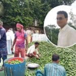 বদলগাছী হাটে বিএনপি নেতা গিটারের ইশারায় খাজনা আদায়! সরকারি রাজস্ব নিয়ে উঠছে প্রশ্ন