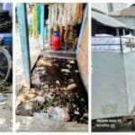 থানাহাট বাজারে বর্জ্য ব্যবস্থাপনার বেহাল দশা, ঝুঁকিতে জনস্বাস্থ্য