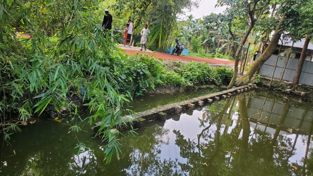 নাগেশ্বরীতে রাস্তার কাজে ব্যাপক অনিয়ম ও দুর্নীতির অভিযোগ