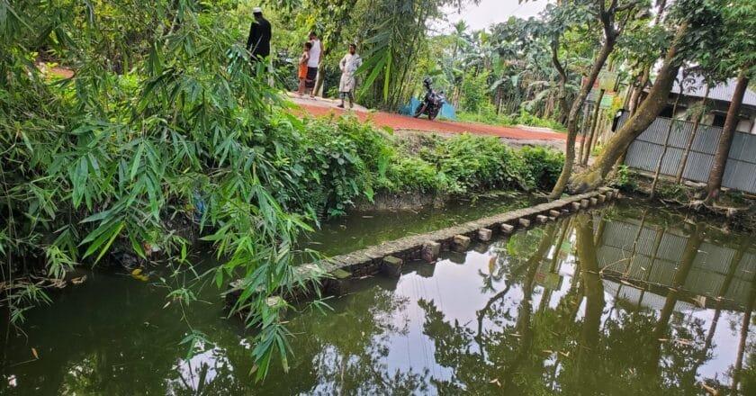 নাগেশ্বরীতে রাস্তার কাজে ব্যাপক অনিয়ম ও দুর্নীতির অভিযোগ