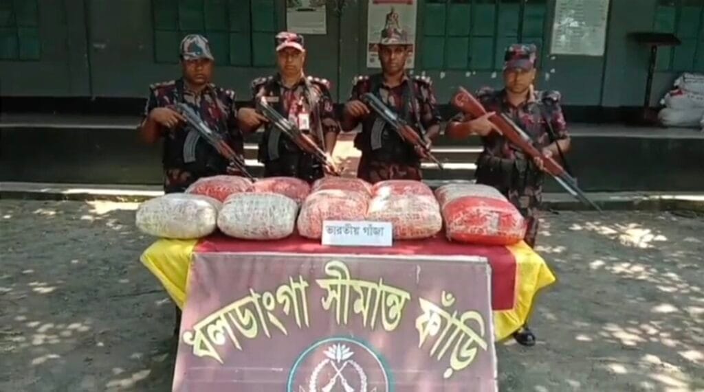 কুড়িগ্রামের বিভিন্ন সীমান্তে ভারতীয় গরু, গাজাঁ ও বিপুল পরিমাণ কসমেটিকস আটক