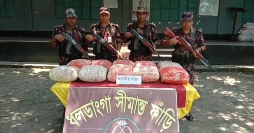 কুড়িগ্রামের বিভিন্ন সীমান্তে ভারতীয় গরু, গাজাঁ ও বিপুল পরিমাণ কসমেটিকস আটক