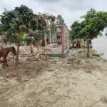 চিলমারীতে বিশারপাড়া আশ্রায়ন প্রকল্পটি ব্রহ্মপুত্রের ভাঙ্গনের কবলে