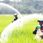 ৭০৪ কোটি টাকায় ৮০ হাজার টন সার ও সালফার কিনছে সরকার