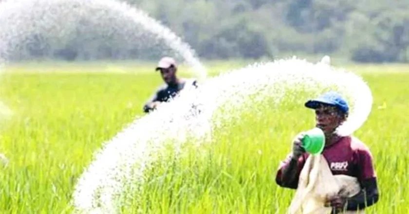 ৭০৪ কোটি টাকায় ৮০ হাজার টন সার ও সালফার কিনছে সরকার