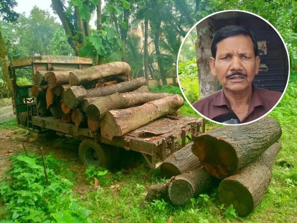 বদলগাছীতে সামাজিক বনায়নের বেশ কয়েকটি গাছের টুকরো জব্দ