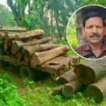বদলগাছীতে সামাজিক বনায়নের বেশ কয়েকটি গাছের টুকরো জব্দ