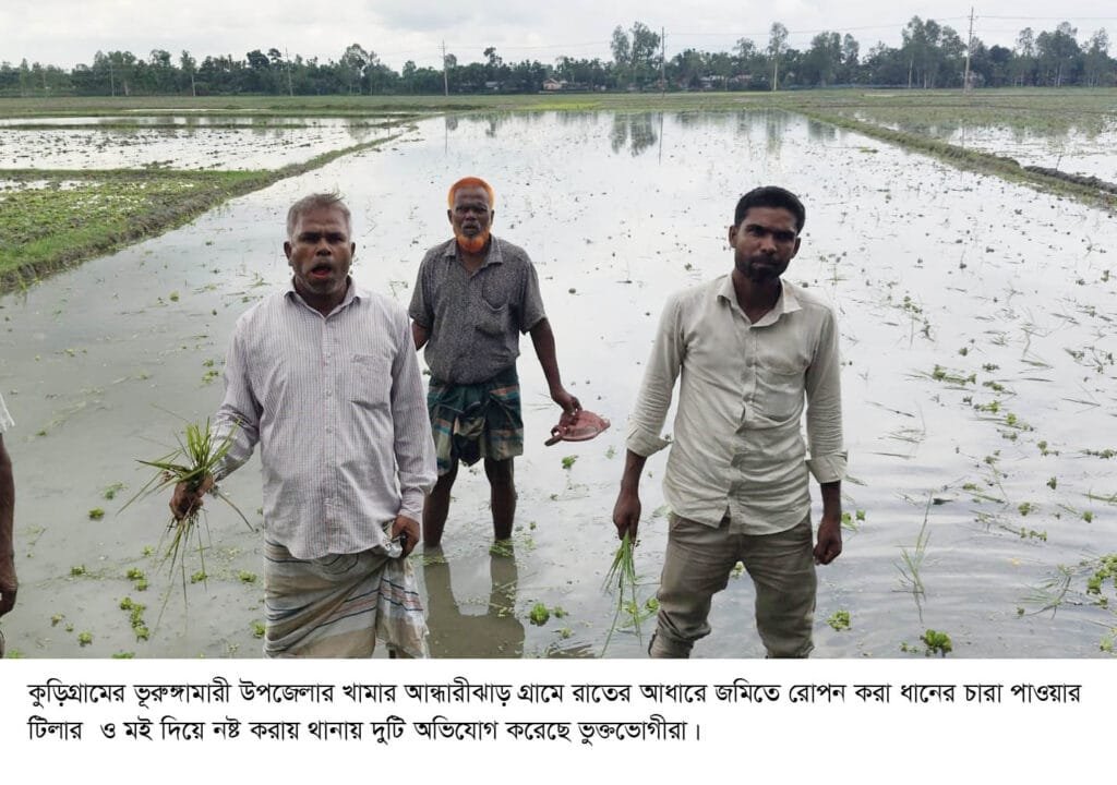 ভূরুঙ্গামারীতে ধানক্ষেত নষ্ট ও পরিবার অবরুদ্ধ, থানায় জোড়া অভিযোগ