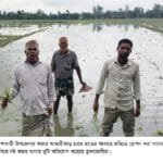 ভূরুঙ্গামারীতে ধানক্ষেত নষ্ট ও পরিবার অবরুদ্ধ, থানায় জোড়া অভিযোগ