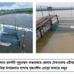 উপকূলীয় অঞ্চলে ভেটকি মাছ চাষের আধুনিক পাইলট প্রকল্পে বড় সাফল্য