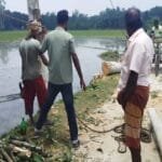 আইনি প্রক্রিয়ায় কাটছে গাছ: মান্দায় চওড়া হচ্ছে রাস্তা, বাঁচবে ফসলি জমি