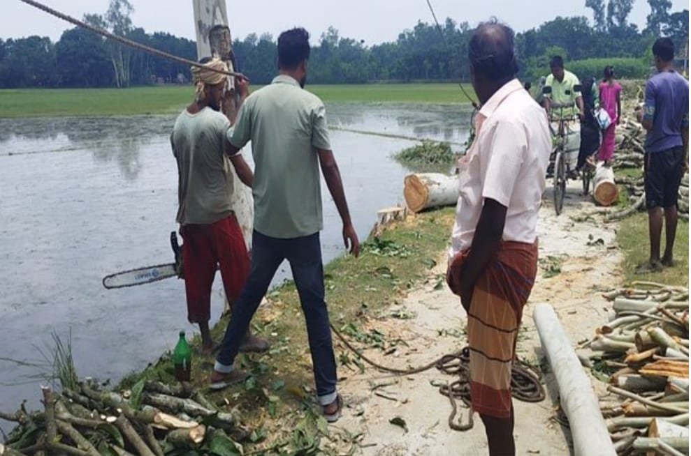 আইনি প্রক্রিয়ায় কাটছে গাছ: মান্দায় চওড়া হচ্ছে রাস্তা, বাঁচবে ফসলি জমি