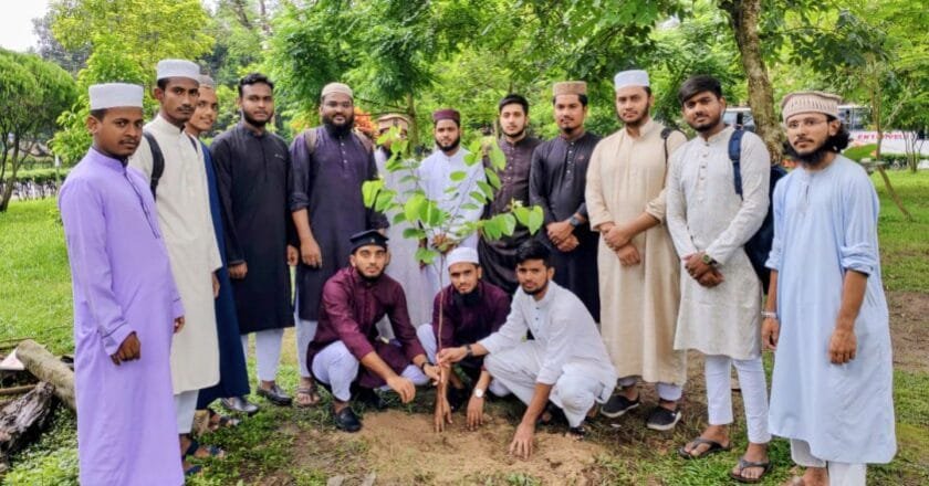 বৃক্ষরোপণের মধ্য দিয়ে ইবি তালাবার নবগঠিত কমিটির কার্যক্রম শুরু