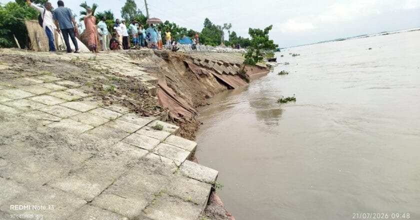 ব্রহ্মপুত্রের থাবায় ফের হুমকির মুখে চিলমারীর ডানতীর রক্ষা বাঁধ