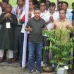 আগামী ৫ বছরে ২৫ কোটি চারা রোপণ করা হবে: প্রধানমন্ত্রী