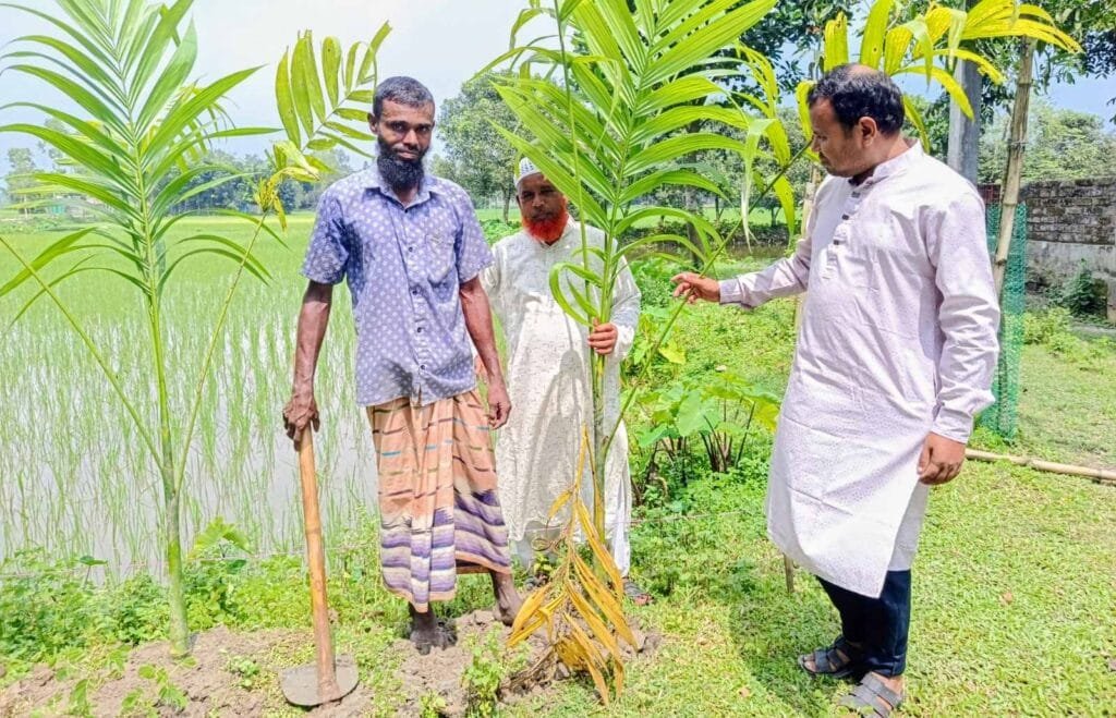 ঠাকুরগাঁওয়ের ভেড়ভেরী আলিম মাদ্রাসায় বৃক্ষরোপণ কর্মসূচি পালিত