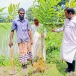 ঠাকুরগাঁওয়ের ভেড়ভেরী আলিম মাদ্রাসায় বৃক্ষরোপণ কর্মসূচি পালিত