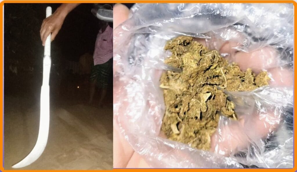 বদলগাছীতে দেশীয় অস্ত্র ও গাঁজাসহ মাদক ব্যবসায়ী গ্রেপ্তার