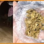 বদলগাছীতে দেশীয় অস্ত্র ও গাঁজাসহ মাদক ব্যবসায়ী গ্রেপ্তার
