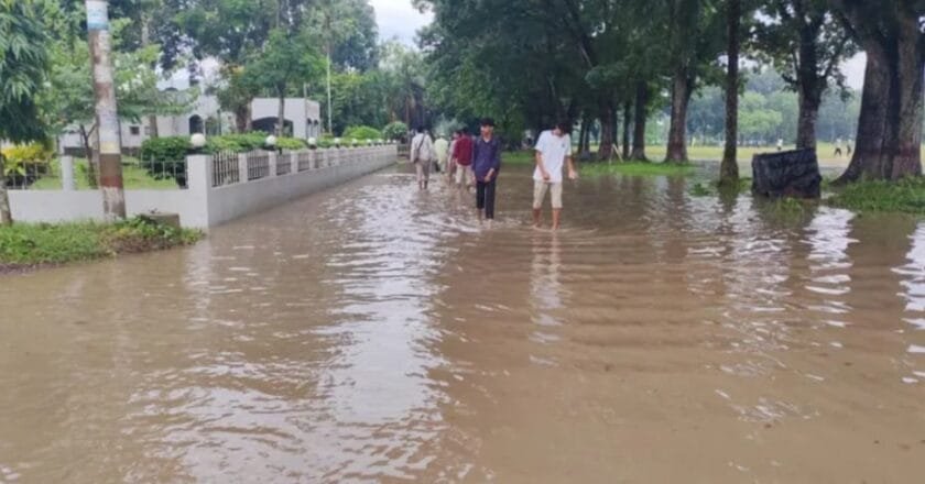 অল্প বৃষ্টিতেই ইবি ক্যাম্পাসে জলাবদ্ধতা, শিক্ষার্থীদের ভোগান্তি‎