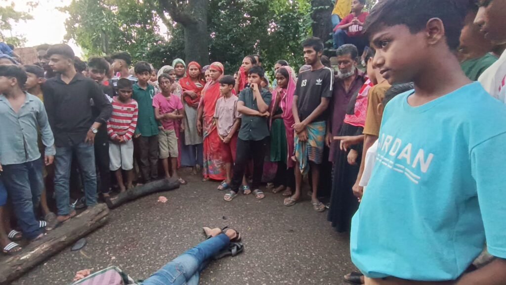 মানিকগঞ্জে ট্রাকচাপায় এনজিওকর্মী নিহত