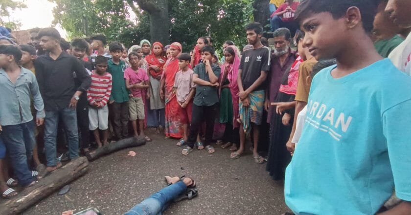 মানিকগঞ্জে ট্রাকচাপায় এনজিওকর্মী নিহত