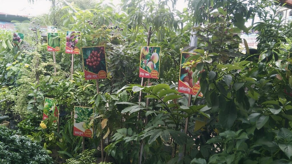 খুলনায় মাসব্যাপী বৃক্ষমেলার সমাপ্তি, চারা বিক্রিতে নতুন রেকর্ড