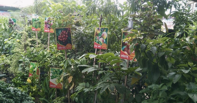 খুলনায় মাসব্যাপী বৃক্ষমেলার সমাপ্তি, চারা বিক্রিতে নতুন রেকর্ড