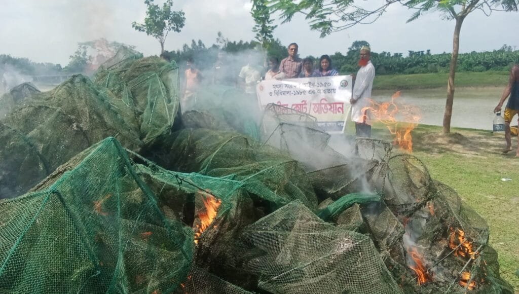 বদলগাছীতে ‘চায়না দুয়ারী’ রিং জাল পুড়িয়ে ধ্বংস