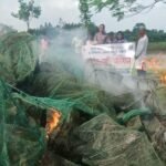 বদলগাছীতে ‘চায়না দুয়ারী’ রিং জাল পুড়িয়ে ধ্বংস