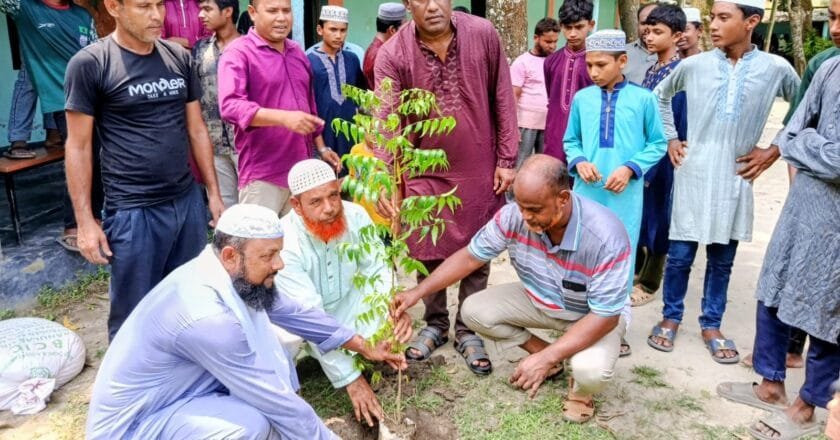 ভেড়ভেড়ী আলিম মাদ্রাসায় ‘ক্লেমন’-এর উদ্যোগে বৃক্ষরোপণ কর্মসূচি