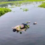 নাগেশ্বরীতে বিলে ভাসছে যুবকের মরদেহ, পরিচয় শনাক্তে তৎপর পুলিশ