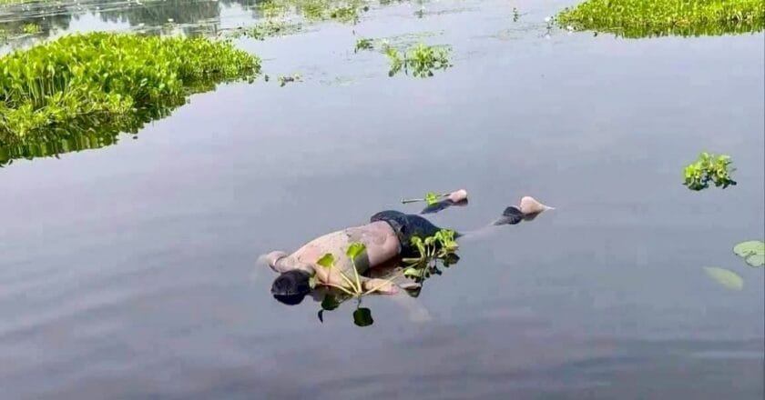নাগেশ্বরীতে বিলে ভাসছে যুবকের মরদেহ, পরিচয় শনাক্তে তৎপর পুলিশ