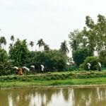 ভূরুঙ্গামারীতে সারের গোডাউনে হামলা, ৩৪০ বস্তা ইউরিয়া লুটের অভিযোগ