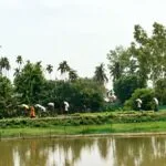 ভূরুঙ্গামারীতে সারের গোডাউনে হামলা, ৩৪০ বস্তা ইউরিয়া লুটের অভিযোগ