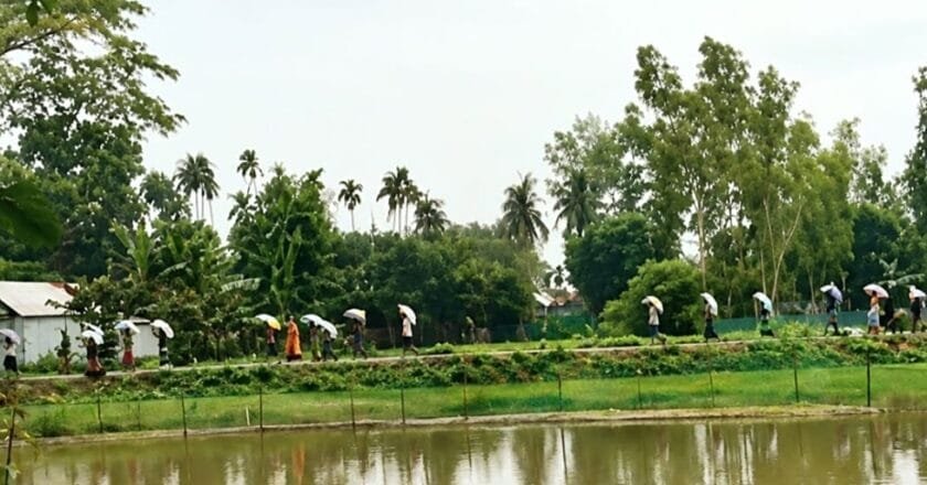 ভূরুঙ্গামারীতে সারের গোডাউনে হামলা, ৩৪০ বস্তা ইউরিয়া লুটের অভিযোগ