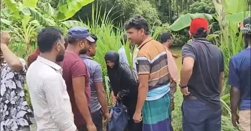 নাগেশ্বরীতে ৭ যাত্রী নিয়ে অটোরিকশা পুকুরে, গুরুতর আহত ৩