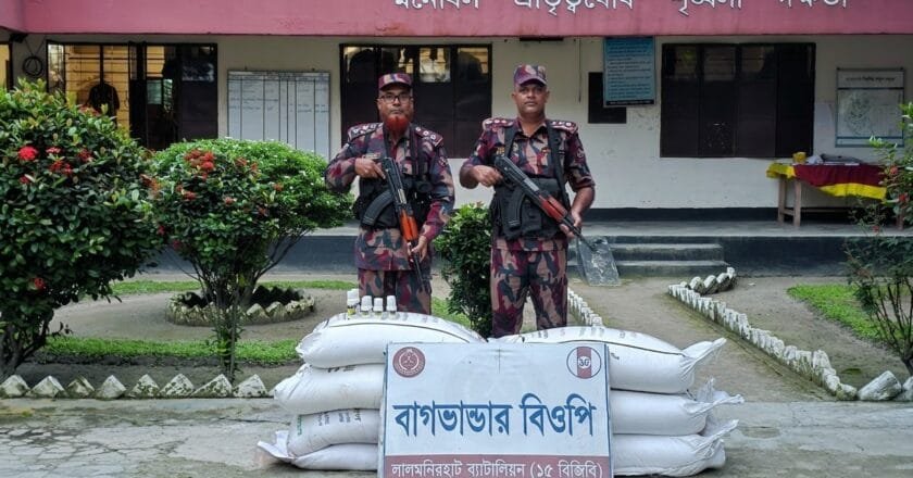 ভূরুঙ্গামারীতে বিজিবির অভিযানে ৭ বস্তা সার আটক