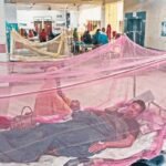 খুলনায় বাড়ছে ডেঙ্গু রোগী, একদিনে আক্রান্ত ২৪৩