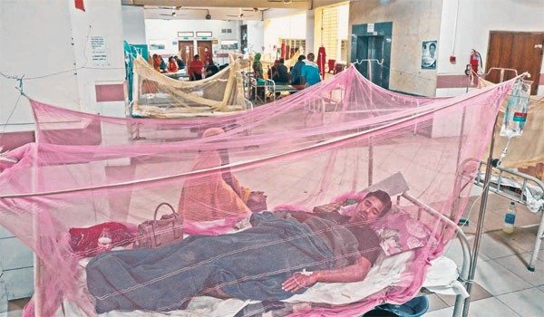 খুলনায় বাড়ছে ডেঙ্গু রোগী, একদিনে আক্রান্ত ২৪৩