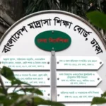 ৪৮ জন জনবল নিয়োগ দেবে মাদ্রাসা শিক্ষা বোর্ড: বিজ্ঞপ্তি প্রকাশ