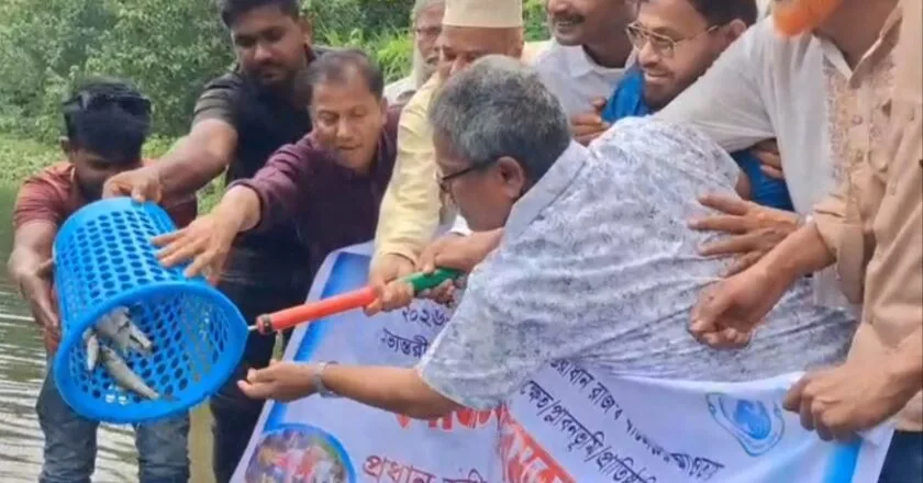 সলঙ্গায় গারুদহ নদীতে পোনামাছ অবমুক্ত করলেন সংসদ সদস্য আয়নুল হক