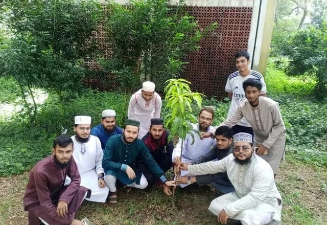 ইবিতে ‘আইইউসানস’-এর উদ্যোগে বৃক্ষরোপণ কর্মসূচি অনুষ্ঠিত