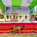 টঙ্গীর গোপালপুরে ফুটবল টুর্নামেন্টের জমকালো ফাইনাল অনুষ্ঠিত