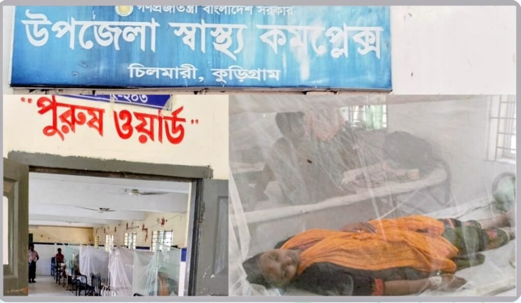 চিলমারীতে বাড়ছে ডেঙ্গুর প্রাদুর্ভাব, স্বাস্থ্য কমপ্লেক্সে ভর্তি ৭